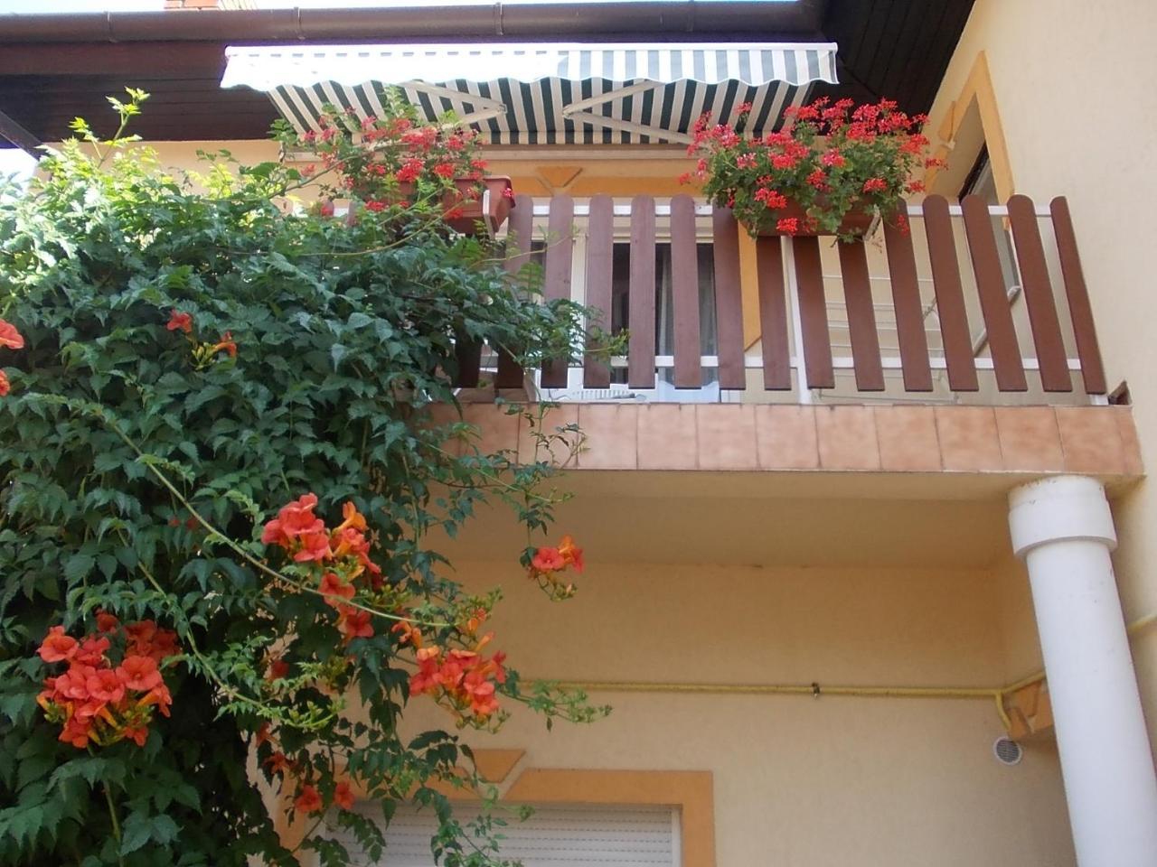 Judit Vendeghaz Heviz Ngoại thất bức ảnh